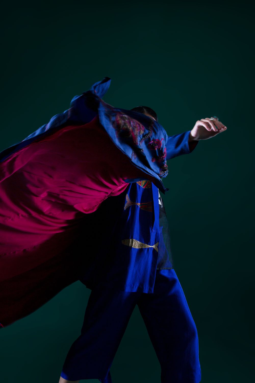 Violet Embellished Jacket